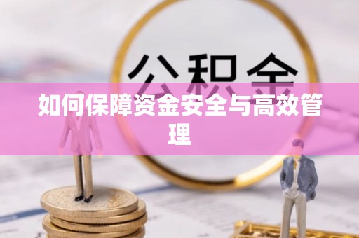 圣安多尼堂区如何保障资金安全与高效管理