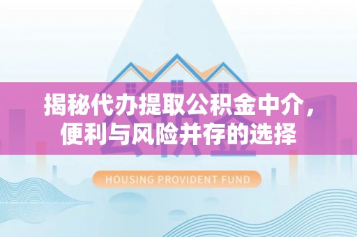圣安多尼堂区揭秘代办提取公积金中介，便利与风险并存的选择