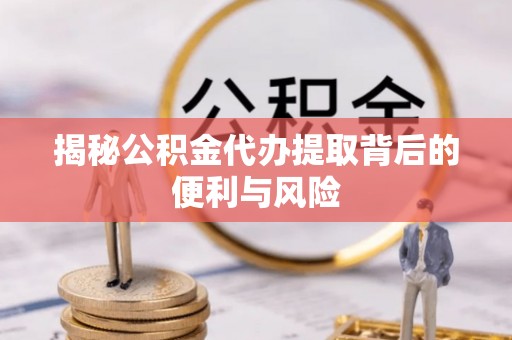 圣安多尼堂区揭秘公积金代办提取背后的便利与风险