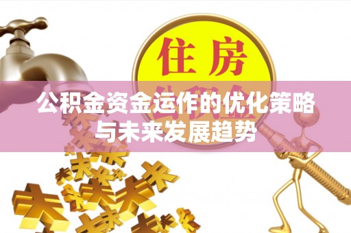 圣安多尼堂区公积金资金运作的优化策略与未来发展趋势