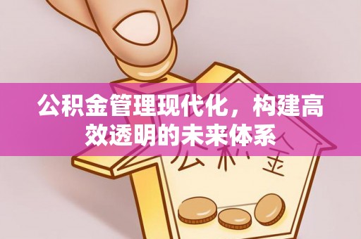 圣安多尼堂区公积金管理现代化，构建高效透明的未来体系