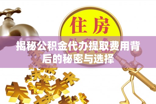 圣安多尼堂区揭秘公积金代办提取费用背后的秘密与选择