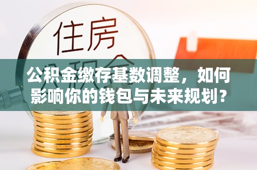 圣安多尼堂区公积金缴存基数调整，如何影响你的钱包与未来规划？