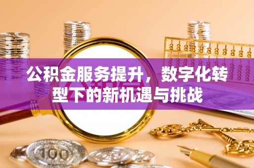 圣安多尼堂区公积金服务提升，数字化转型下的新机遇与挑战