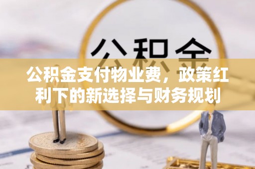 圣安多尼堂区公积金支付物业费，政策红利下的新选择与财务规划