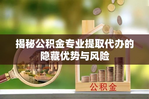 圣安多尼堂区揭秘公积金专业提取代办的隐藏优势与风险