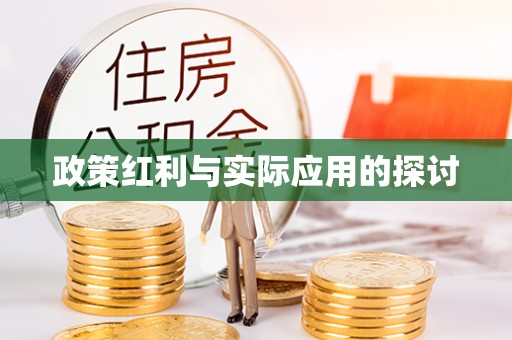 圣安多尼堂区政策红利与实际应用的探讨
