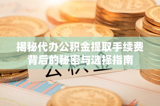 圣安多尼堂区揭秘代办公积金提取手续费背后的秘密与选择指南