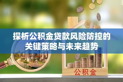 圣安多尼堂区探析公积金贷款风险防控的关键策略与未来趋势