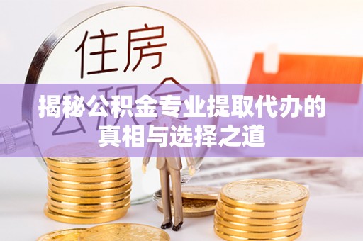 圣安多尼堂区揭秘公积金专业提取代办的真相与选择之道