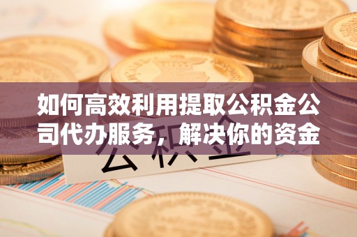 圣安多尼堂区如何高效利用提取公积金公司代办服务，解决你的资金难题