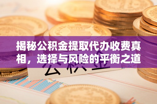 圣安多尼堂区揭秘公积金提取代办收费真相，选择与风险的平衡之道