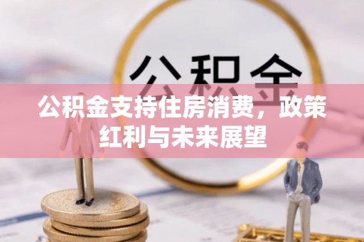 圣安多尼堂区公积金支持住房消费，政策红利与未来展望