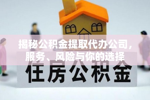 圣安多尼堂区揭秘公积金提取代办公司，服务、风险与你的选择