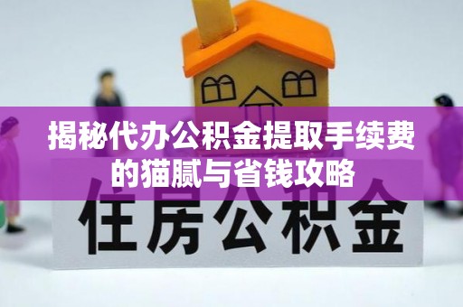 圣安多尼堂区揭秘代办公积金提取手续费的猫腻与省钱攻略