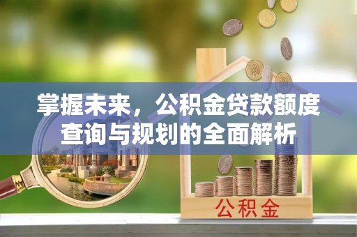 圣安多尼堂区掌握未来，公积金贷款额度查询与规划的全面解析