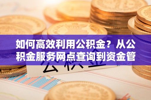 圣安多尼堂区如何高效利用公积金？从公积金服务网点查询到资金管理全攻略