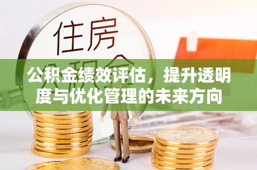 圣安多尼堂区公积金绩效评估，提升透明度与优化管理的未来方向