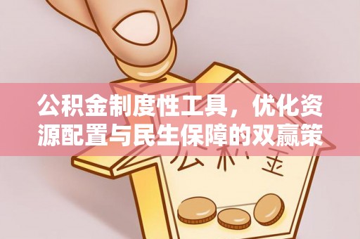 圣安多尼堂区公积金制度性工具，优化资源配置与民生保障的双赢策略