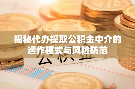 圣安多尼堂区揭秘代办提取公积金中介的运作模式与风险防范