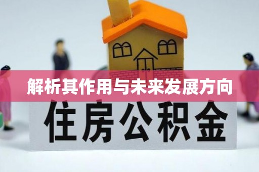 圣安多尼堂区解析其作用与未来发展方向
