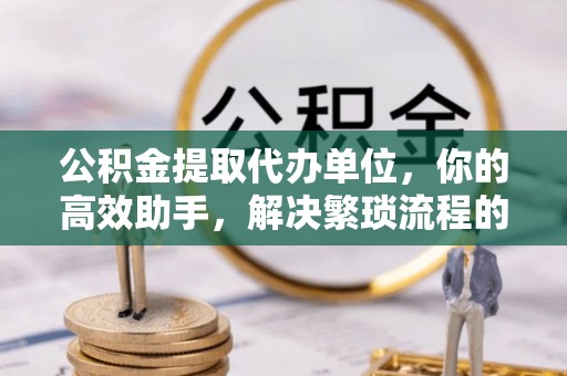 圣安多尼堂区公积金提取代办单位，你的高效助手，解决繁琐流程的不二之选