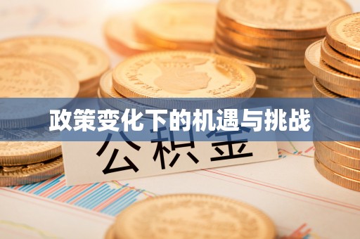圣安多尼堂区政策变化下的机遇与挑战