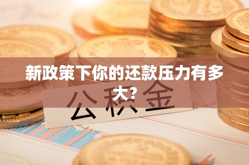 圣安多尼堂区新政策下你的还款压力有多大？