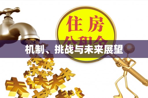 圣安多尼堂区机制、挑战与未来展望