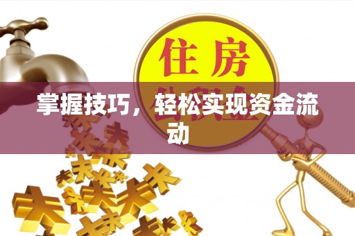 圣安多尼堂区掌握技巧，轻松实现资金流动