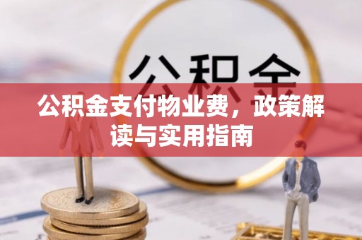 圣安多尼堂区公积金支付物业费，政策解读与实用指南