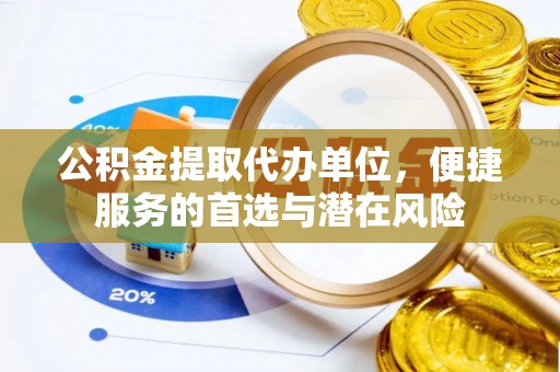 圣安多尼堂区公积金提取代办单位，便捷服务的首选与潜在风险