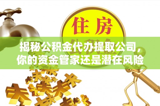 圣安多尼堂区揭秘公积金代办提取公司，你的资金管家还是潜在风险？